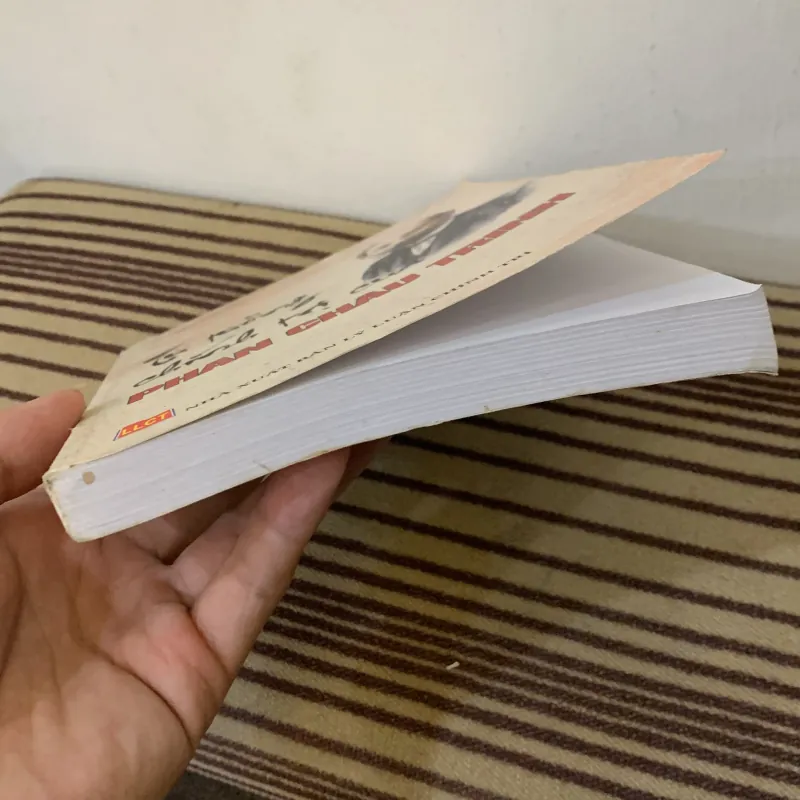 Tư tưởng chính trị của Phan Châu Trinh 1043160