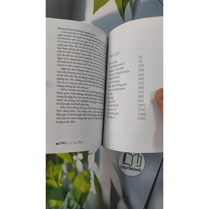 Trầu Không Xanh Lá - Cao Thanh Mai 798319