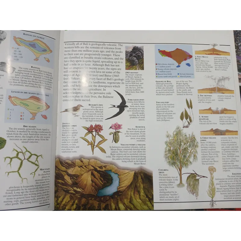 BALI: A TRAVELLER'S COMPANION (NGƯỜI BẠN ĐỒNG HÀNH CỦA DU KHÁCH BALI) 751687