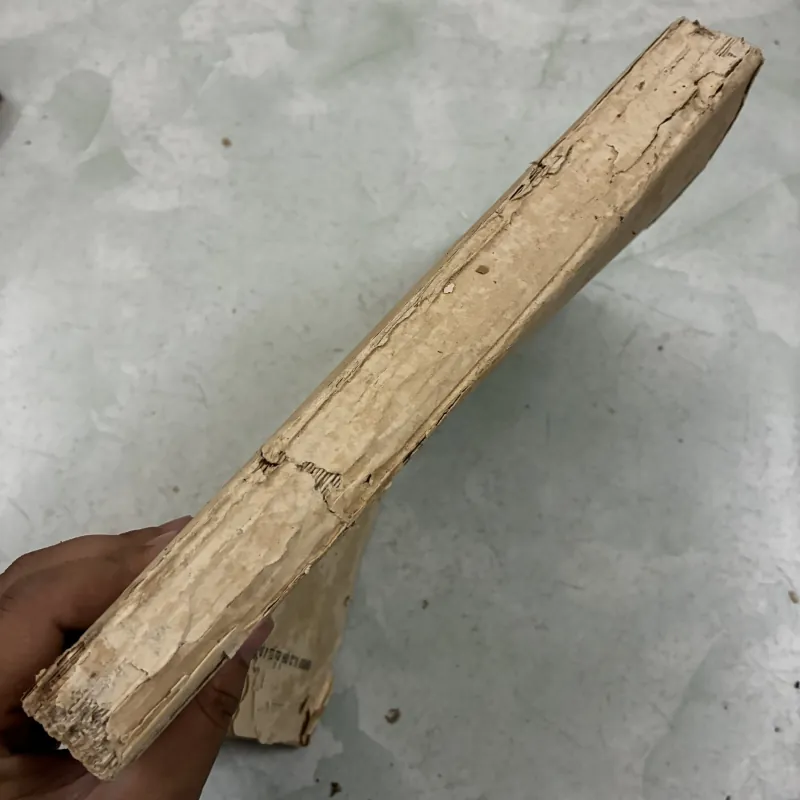 Ký sinh trùng y học - 1994s 1013090