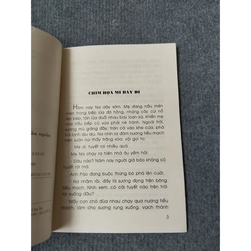 ĐÁM CHÁY TRÊN CÁNH RỪNG ĐẦU NGUỒN 720699