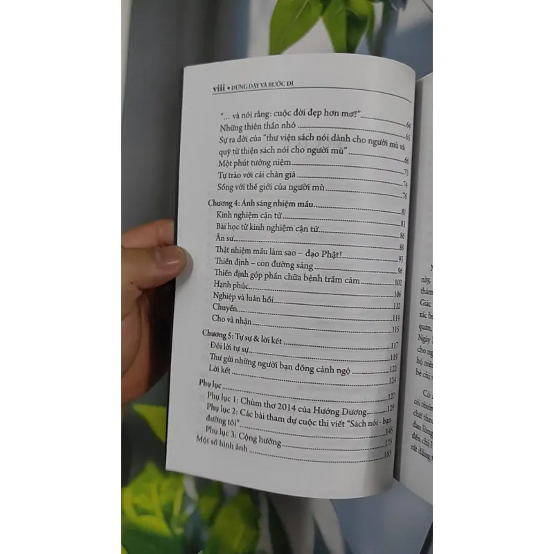 Đứng Dậy Và Bước Đi - Nguyễn Hướng Dương 798435