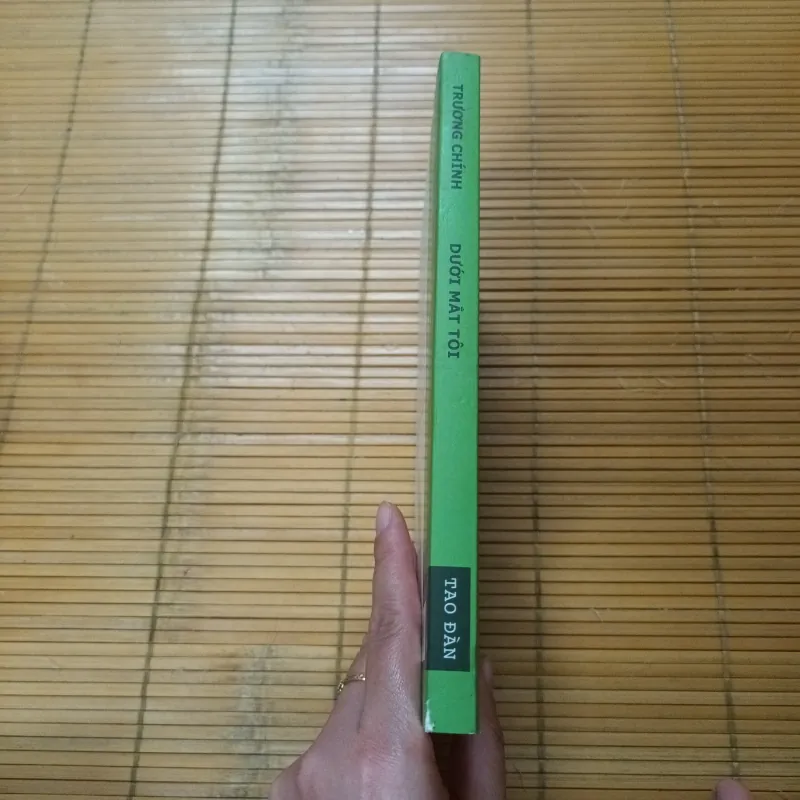 Dưới Mắt Tôi- Trương Chính 776254