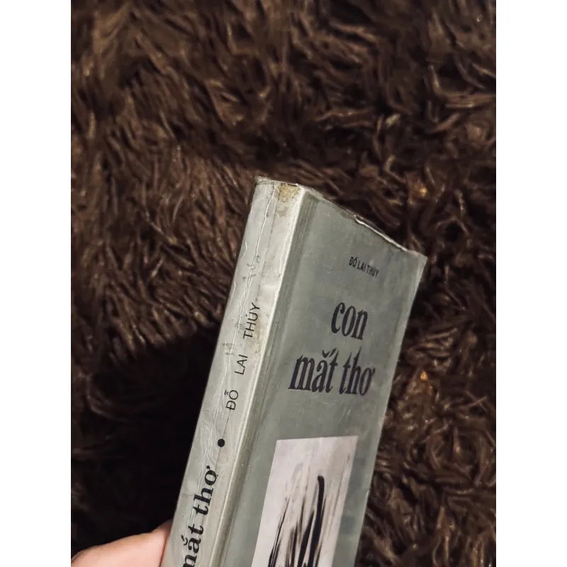 Con mắt thơ 1030666