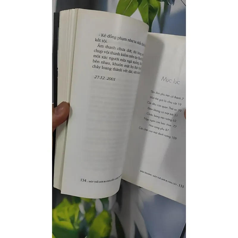 Một Thế Giới Bị Chia Cắt - Sâm Thương 798433