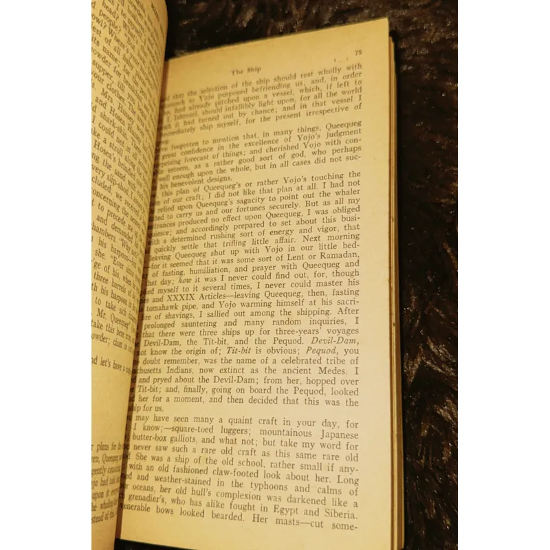 Moby Dick (English) 698197