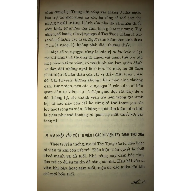 Thầy Minh Triết Trò Trí Tuệ  749624