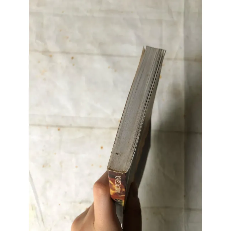 Ngôi Đền Vàng - Yukio Mishima 733692