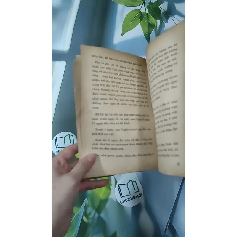 [XƯA] Kể Chuyện Các Vương Phi, Công Chúa, Nữ Cung Triều Nguyễn (1997) - Tôn Thất Bình 970269