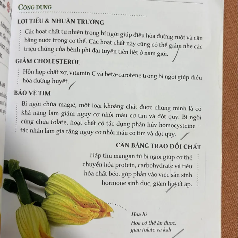 Dinh dưỡng chữa bệnh 🌊 714052