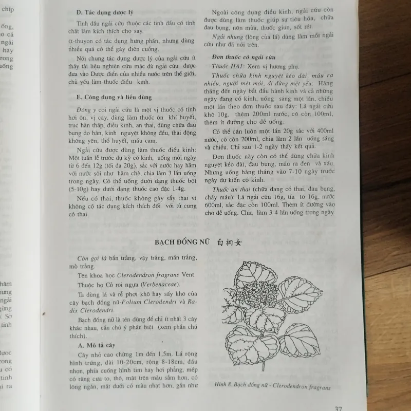 Sách Những cây thuốc và vị thuốc Việt Nam 1021626