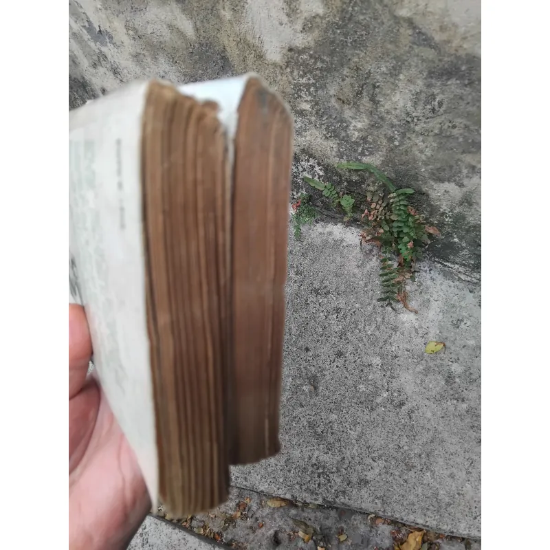 Sống và chết ở Thượng Hải tiểu thuyết của Trịnh Niệm  1019193