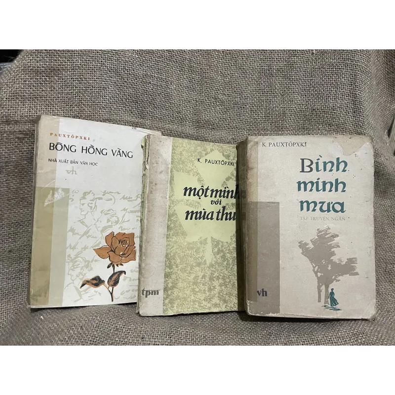 Bình minh mưa, Bông Hồng vàng , một mình với mùa thu (tiểu luận, chân dung) - Paustovsky 719411