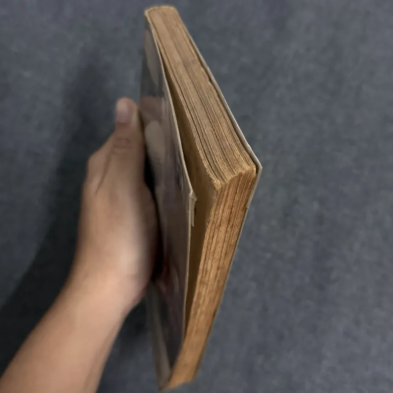 Người đàn bà lạ lùng - Francoise Sagan 1031722