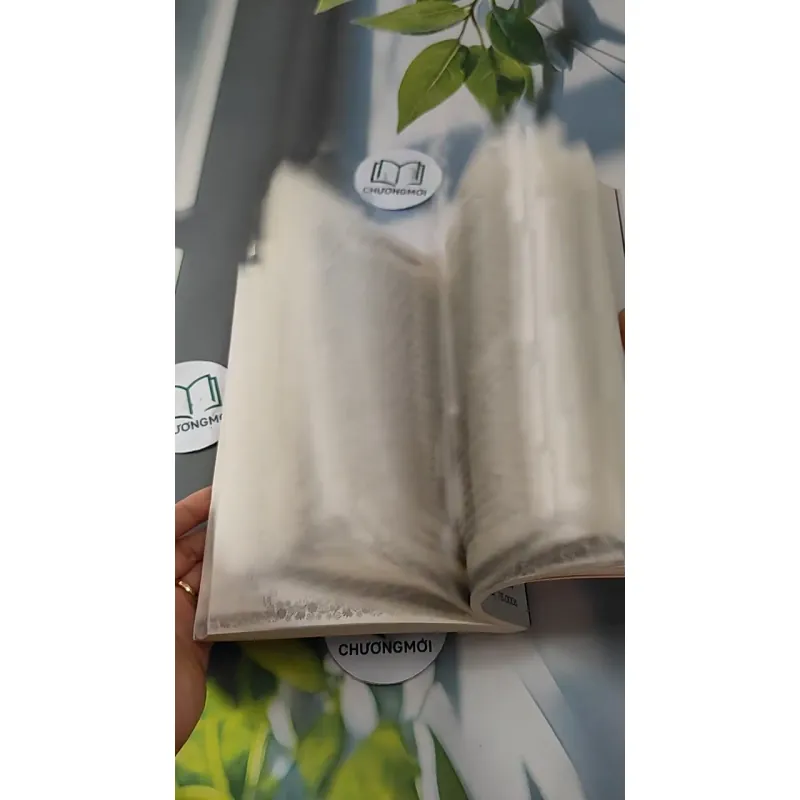 Bạn Có Thể Chữa Lành Cuộc Sống Của Bạn - Louise L. Hay 727270