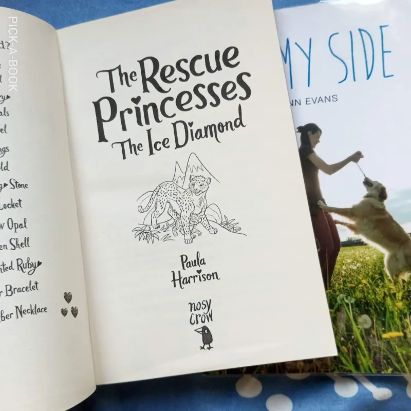 Combo 2 truyện luyện đọc Tiếng Anh về động vật (1) By My Side và The Rescue Princess 711889