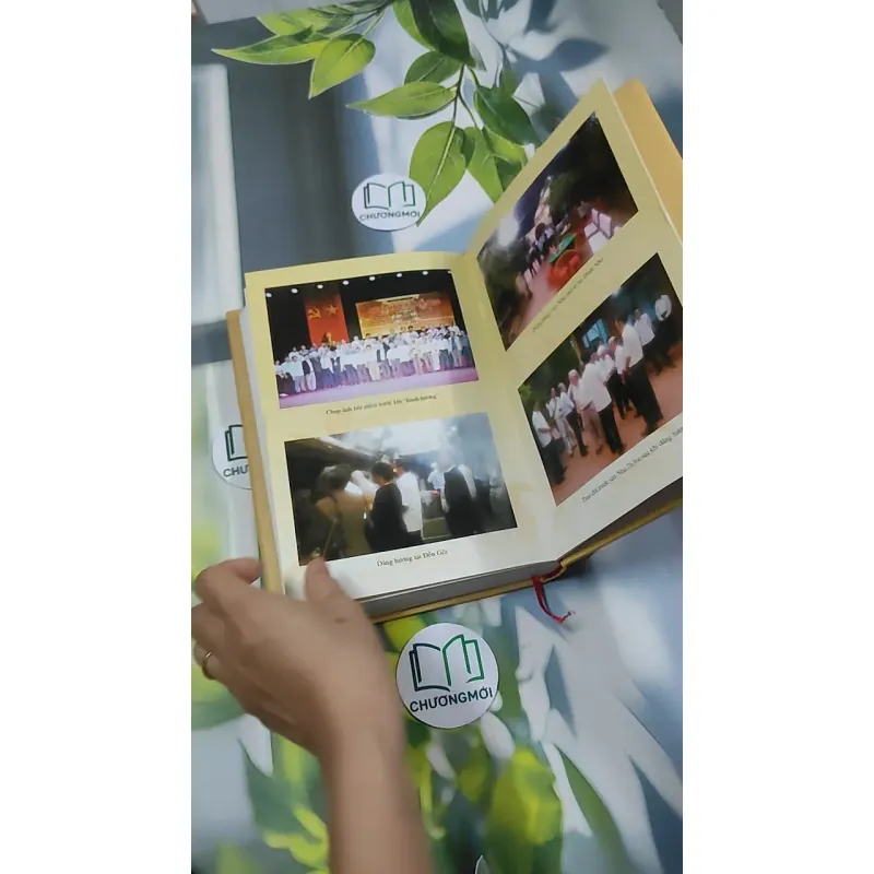 [MIỄN PHÍ BỌC SÁCH] Đinh Nho Hoàn: Thân Thế Và Sự Nghiệp - Hoàng Giáp 750797