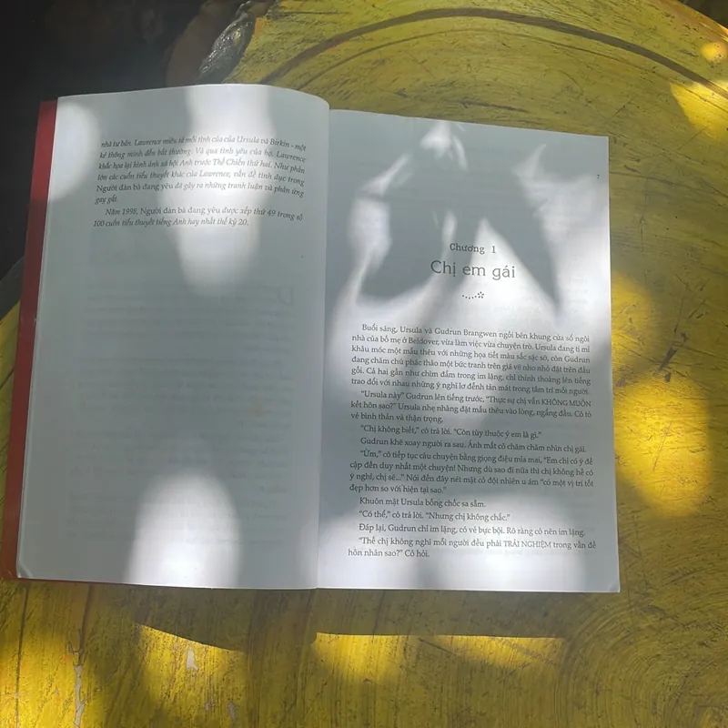 COMBO D.H. LAWRENCE: NGƯỜI TÌNH CỦA PHU NHÂN CHATTERLEY - NGƯỜI ĐÀN BÀ ĐANG YÊU 717169