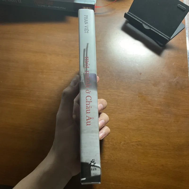 [HỒI KÝ] Một mình ở Châu Âu - Phan Việt 751494