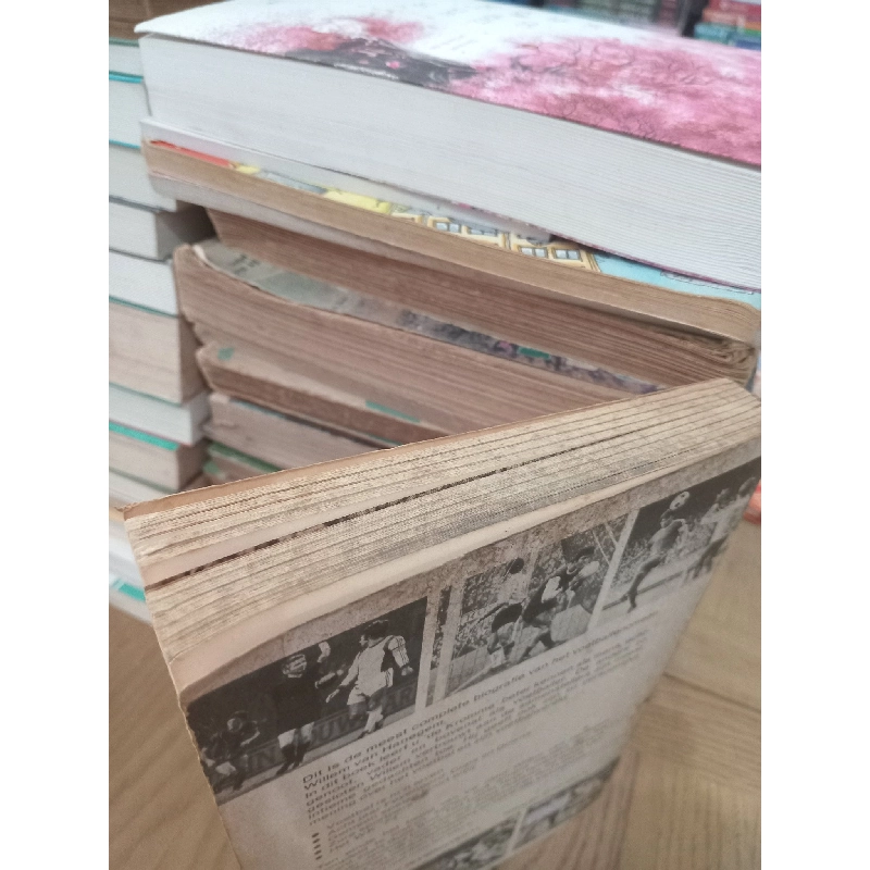 Willem van Hanegem 993494