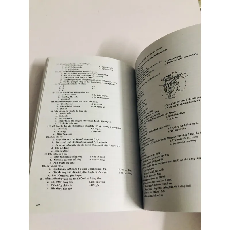 TRẮC NGHIỆM GIẢI PHẪU HỌC  675227