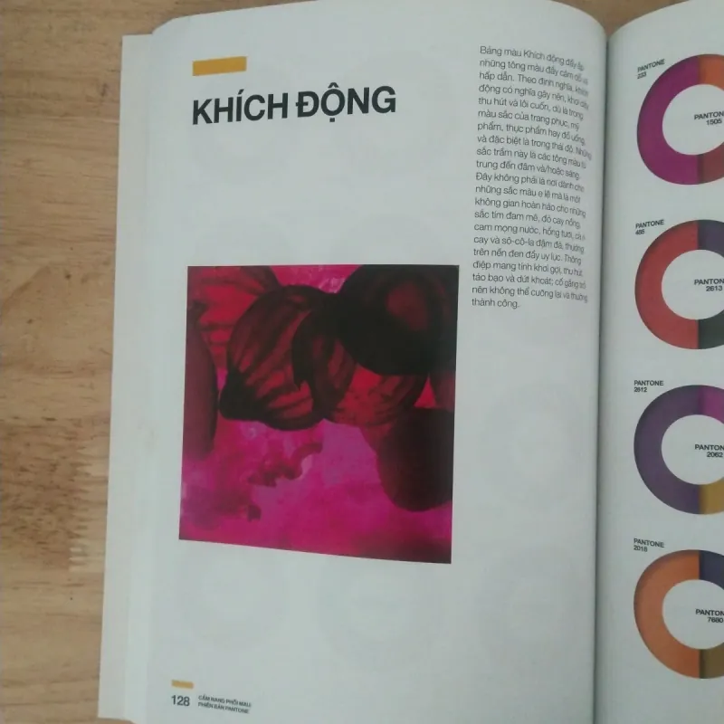 Cẩm nang phối màu pantone  1006354