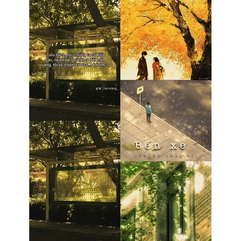 Bến xe - Thương Thái Vi 1009050