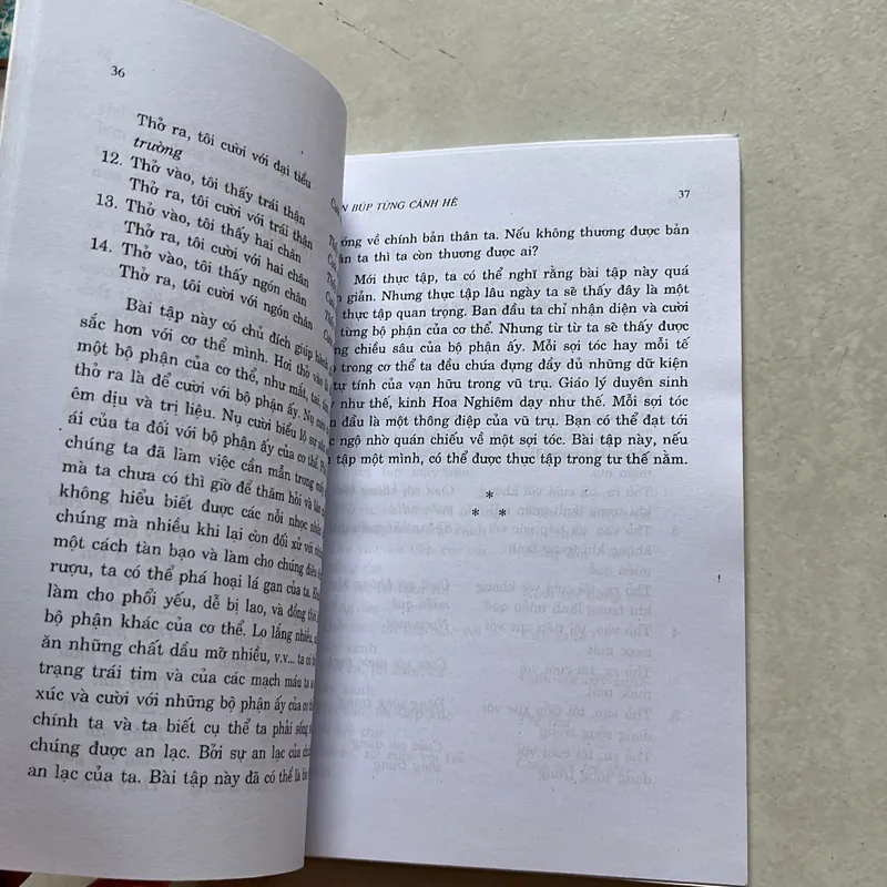 Sen búp từng cành bé - Nhất Hạnh 624037