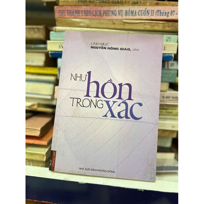 Như Hồn Trong Xác 455588
