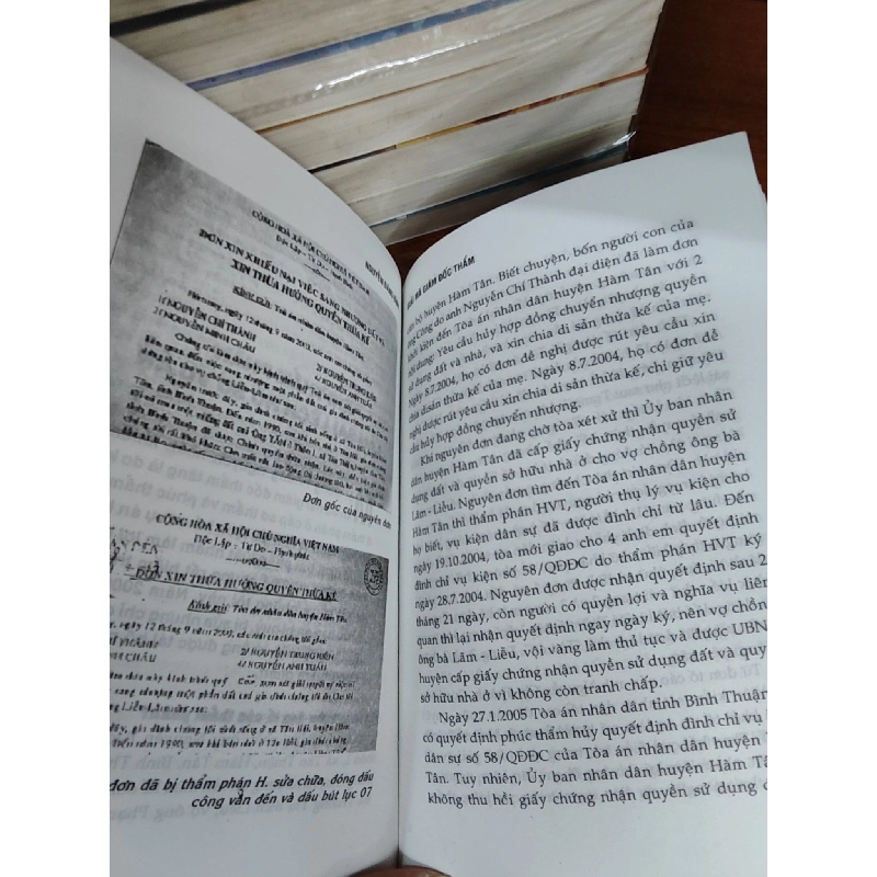 Giải mã giám đốc thẩm - Nguyễn Đăng Bình 1011206