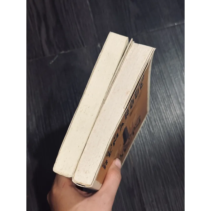 Combo 2 cuốn E.M.Remarque 597837