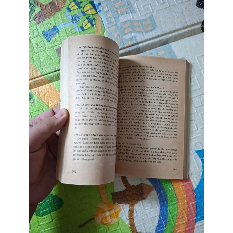 "Hải dương học 1036332