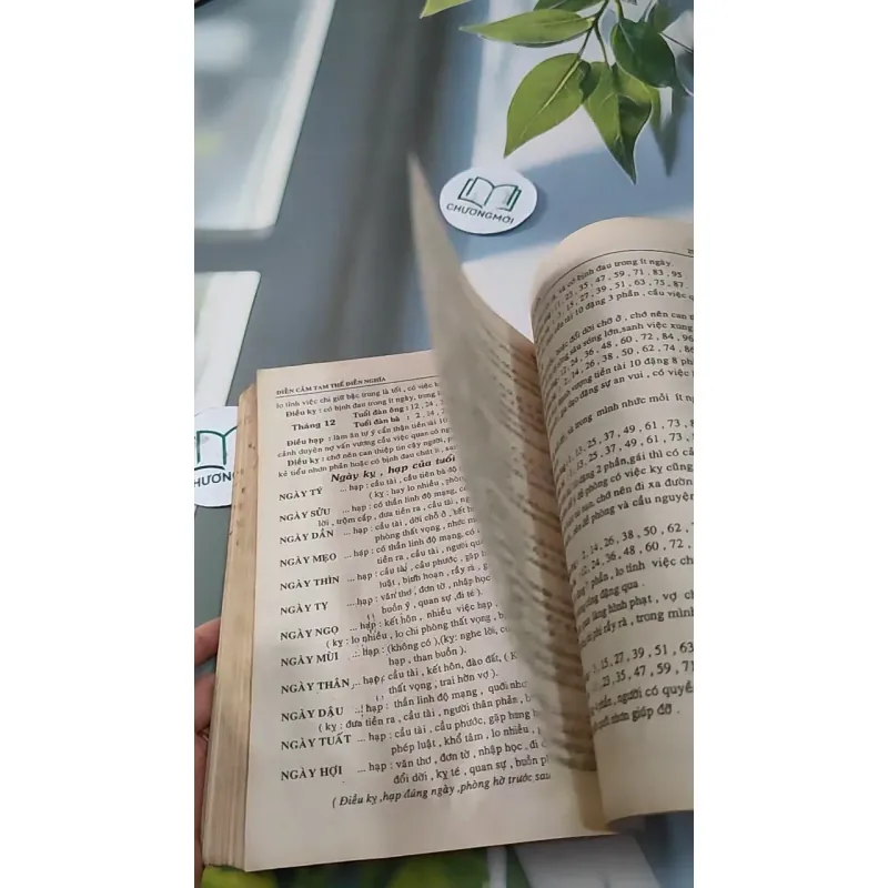 [MIỄN PHÍ BỌC SÁCH] Diện Cẩm Tam Thế - Dương Công Hầu 727288