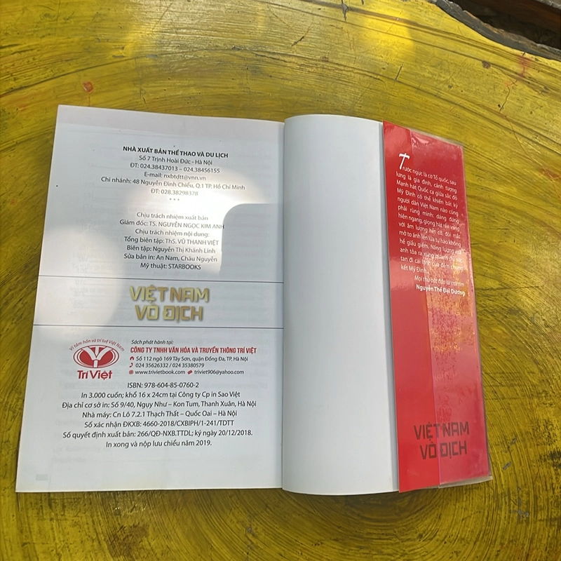 Việt Nam vô địch 463693