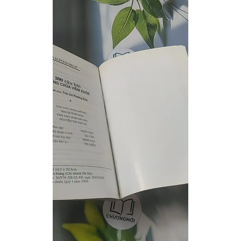 300 câu hỏi phòng chữa bệnh viêm khớp - Thi Quế Anh 688502