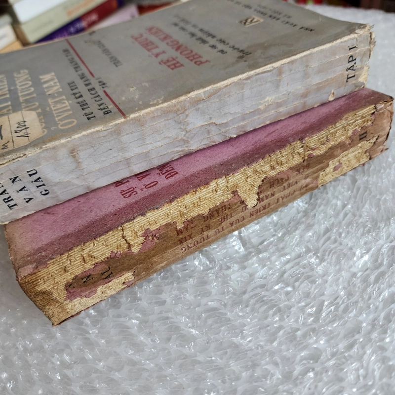 Sự phát triển tư tưởng ở Việt Nam thế kỷ XIX đến CMT8 | Trần Văn Giàu 2 tập. 1973. 1975 528593