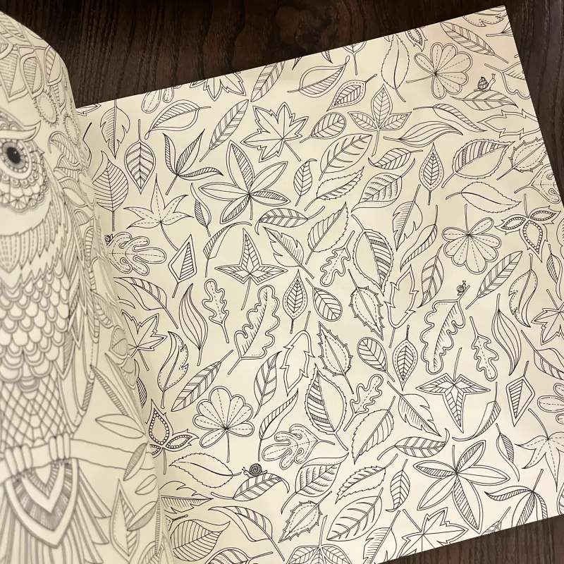 ✨𝑺𝒆𝒄𝒓𝒆𝒕 𝑮𝒂𝒓𝒅𝒆𝒏✨ sách tranh tô màu 712553