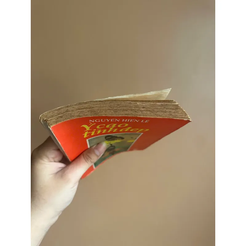 Ý Cao Tình Đẹp - Nguyễn Hiến Lê Sưu Tầm - NXB Trẻ 1991 728050