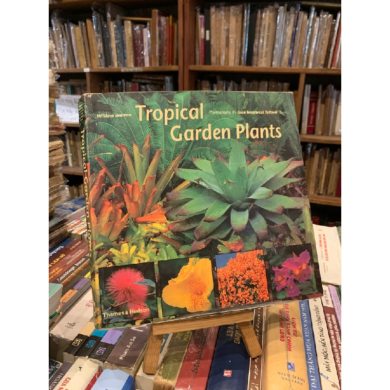 Tropical Garden Plants - William Warren, Luca Invernizzi Tettoni 315346