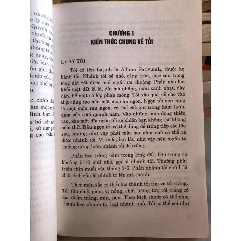 Tỏi chữa bách bệnh - Quỳnh Phương và Minh Đức biên soạn 977085