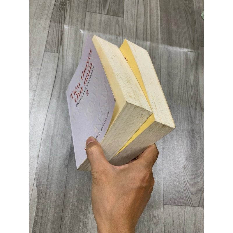 Tiểu thuyết thứ năm, tác giả và tác phẩm. Bộ 2 tập. 1a2.  507721