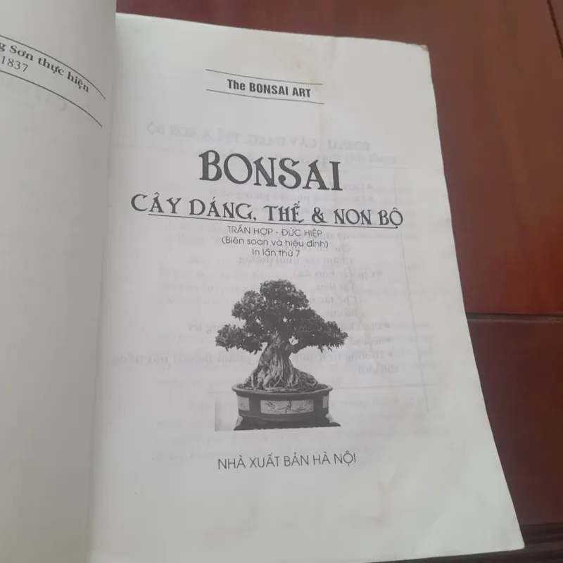 BONSAI Cây dáng, thế và Non bộ 751882
