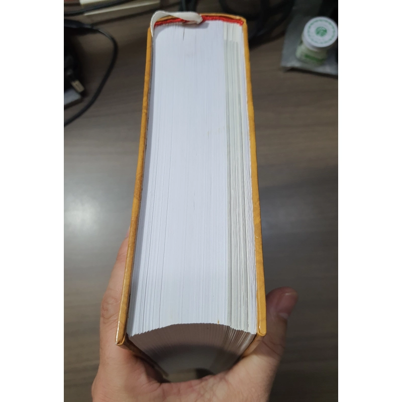 Gốm Việt Nam kỹ thuật và nghệ thuật - Trần khánh Chương 502055