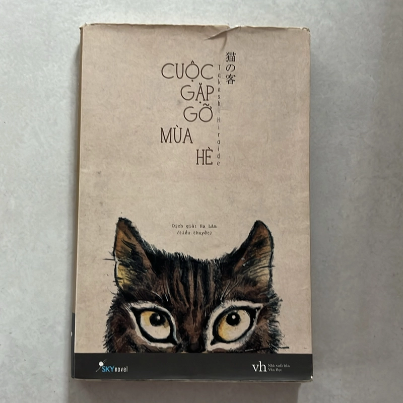 Cuộc gặp gỡ giữa mùa hè — Hạ Lâm dịch 499658