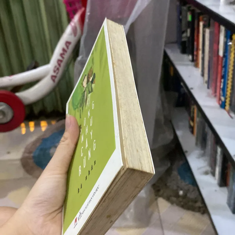 Sống như cây rừng  791210