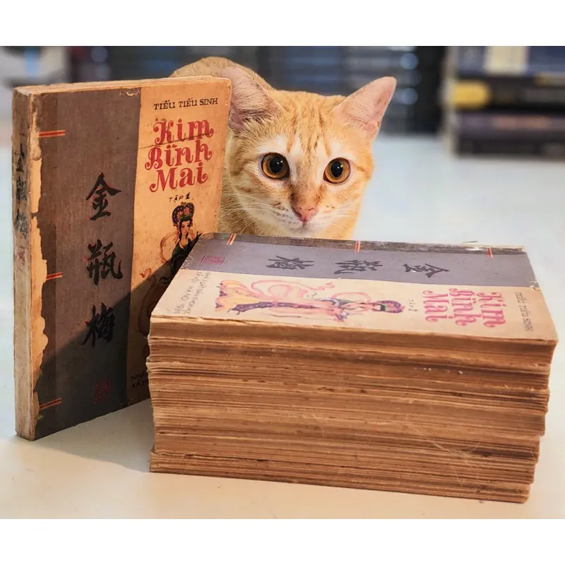 Trọn bộ KIM BÌNH MAI 702525