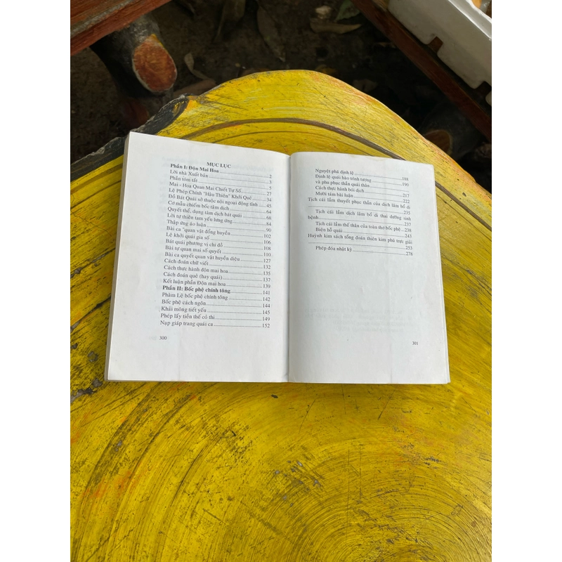 ĐỘN MAI HOA VÀ BỘC PHẾ CHÍNH TÔNG 473582