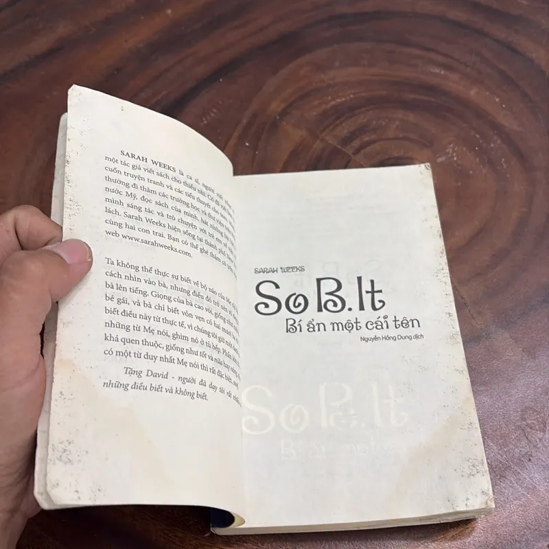 [Có Mốc Và Ẩm Nhẹ] - SoB.It, Bí Ẩn Một Cái Tên - SARAH WEEKS - 2011 977188