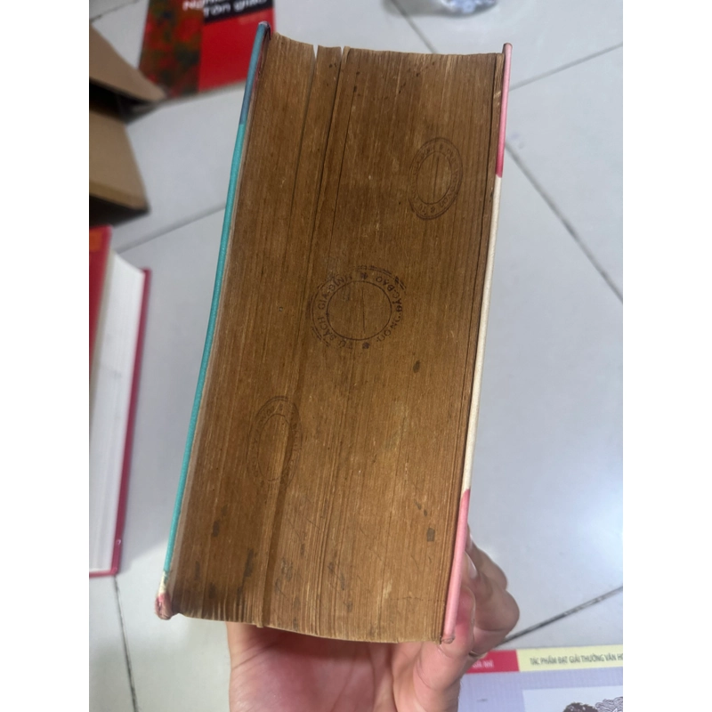Pháp việt tân từ điển minh hoạ 539187