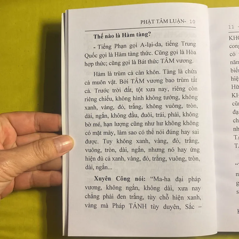 Phật Tâm Luận - HT Thiền Sư Phước Hảo 630637